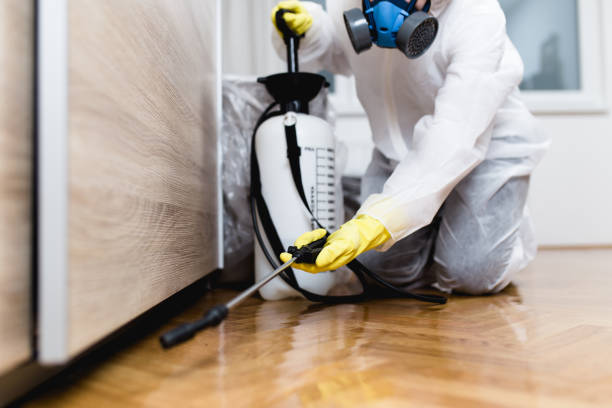 Best Affordable Pest Control Services  in University Of Lifornia Davis, CA