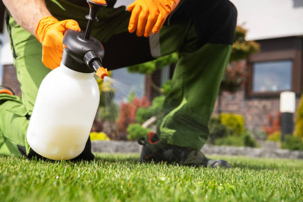 Trusted University Of California Davis, CA Pest Control Experts