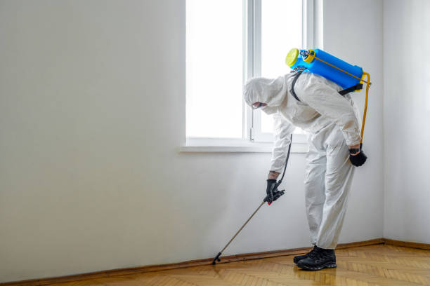 Best Best Pest Control Companies  in University Of Lifornia Davis, CA