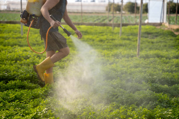 Insect Control in University Of California Davis, CA